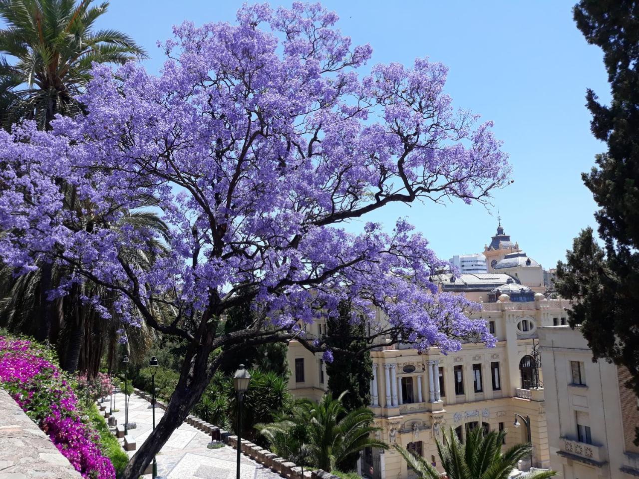 Stay Home & Away In The Heart Of Historical Town Of Malaga Málaga Exterior foto